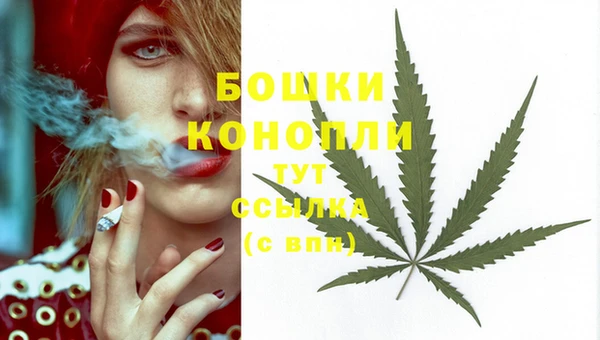 дмт Бронницы