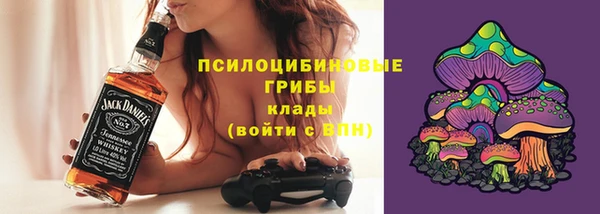 дмт Бронницы
