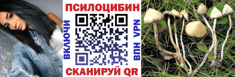 Псилоцибиновые грибы MAGIC MUSHROOMS  Чебоксары 